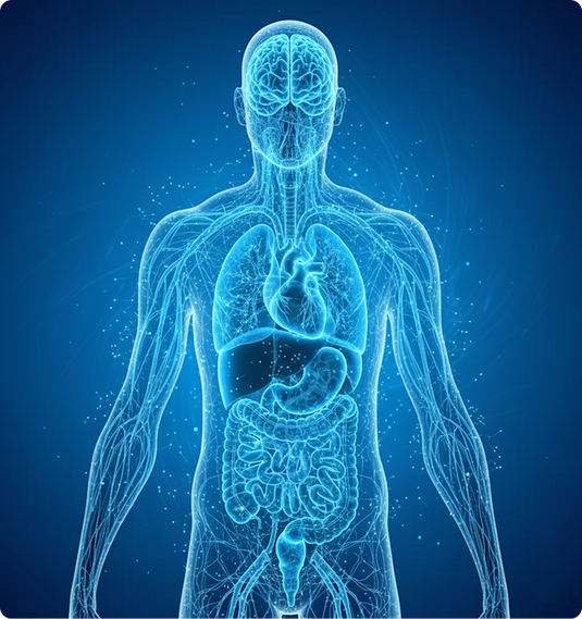 The Power of the Hydrogen Molecule and it’s Health Benefits