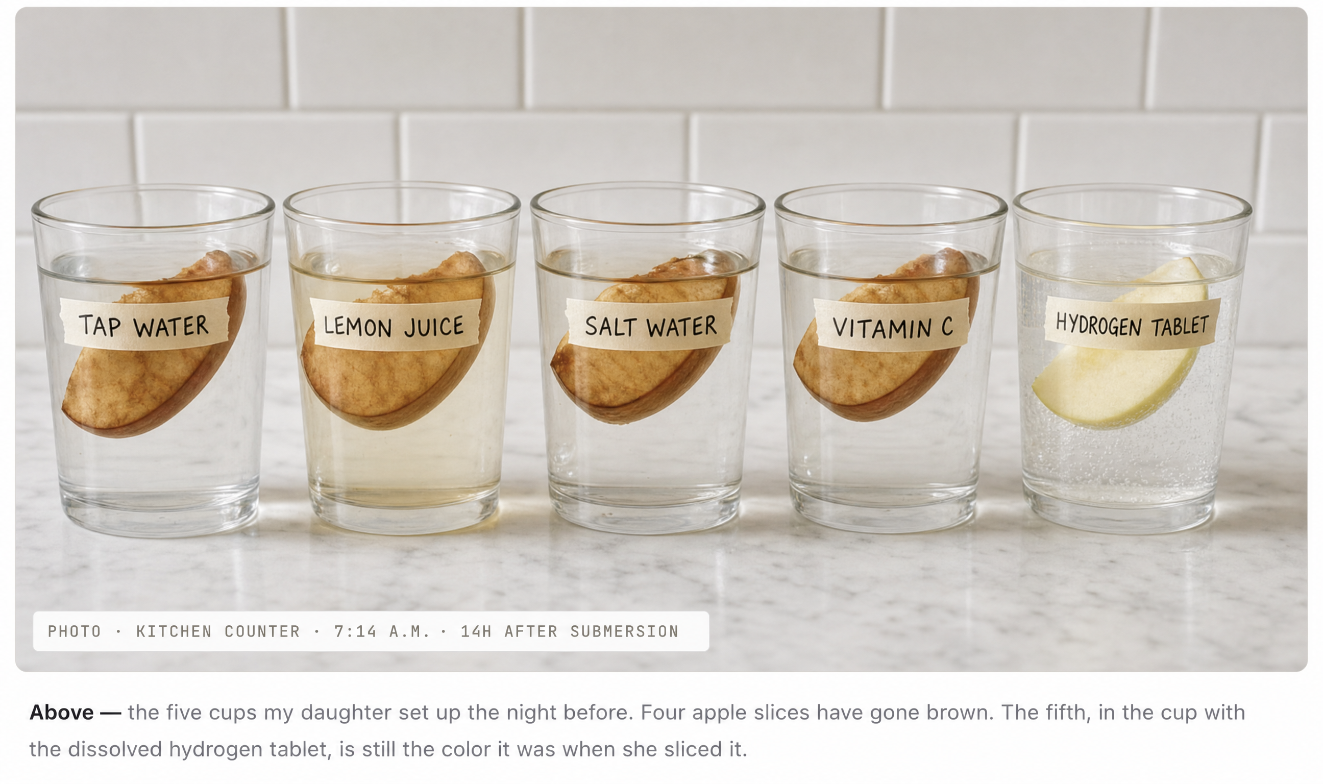 Five labeled glasses on a kitchen counter with apple slices. Four slices have browned; the slice in the hydrogen-tablet cup is still bright.