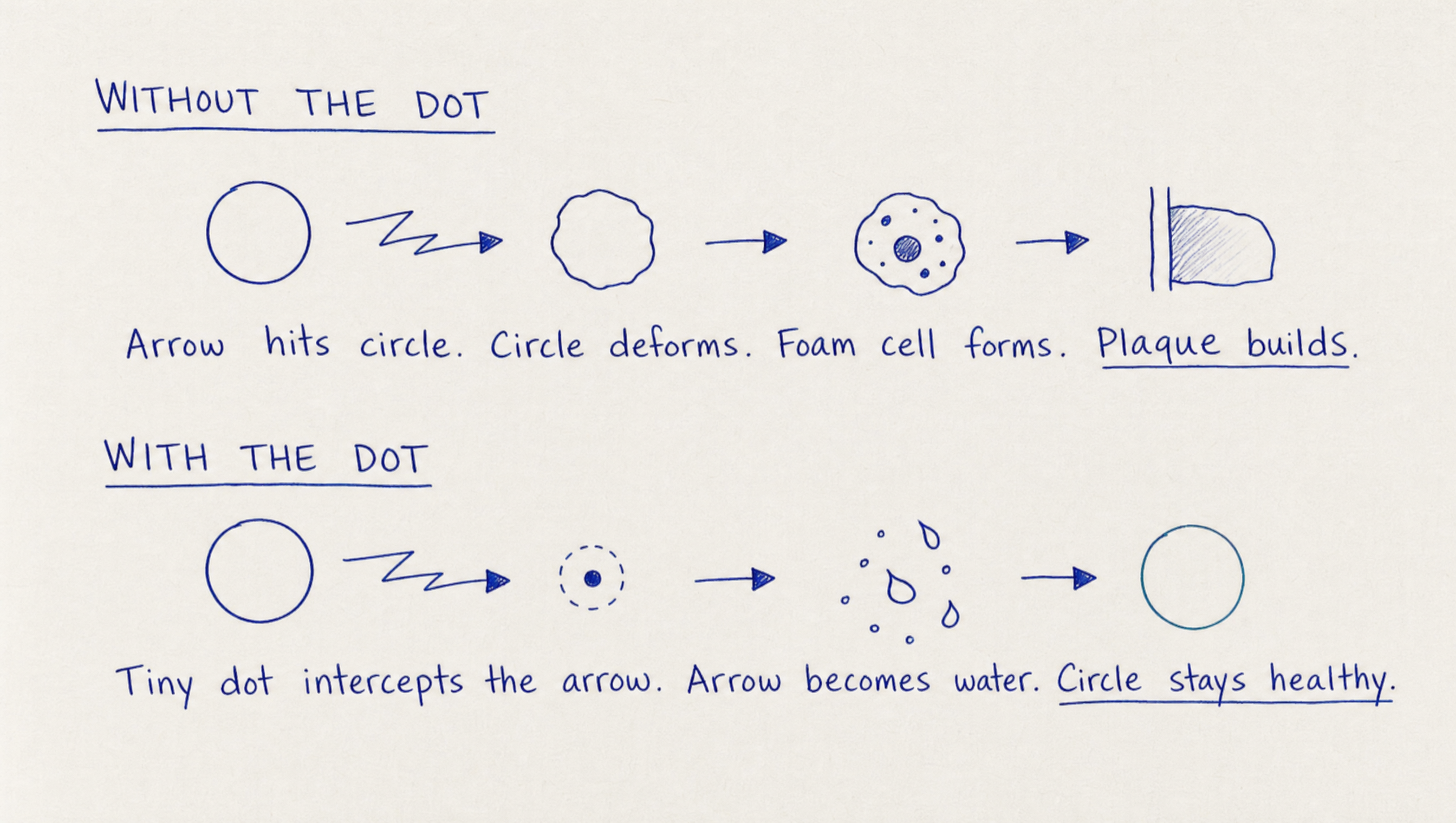 Hand-drawn comparison in blue ink. Top, Without the dot: circle, jagged arrow, deformed circle, foam cell, plaque — arrow hits circle, circle deforms, foam cell forms, plaque builds. Bottom, With the dot: circle, jagged arrow, tiny dot, water droplets, healthy circle — tiny dot intercepts the arrow, arrow becomes water, circle stays healthy.